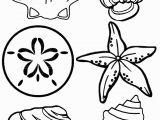 Free Preschool Summer Coloring Pages Seashell03 7681024 Printables