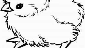 Free Printable Baby Chick Coloring Pages Baby Chick Coloring Page