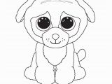 Free Printable Beanie Boo Coloring Pages Ty Beanie Boo Coloring Pages and Print for Free