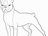 Free Printable Boston Terrier Coloring Pages Boston Terrier Coloring Pages Printable Coloring Home