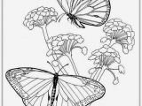 Free Printable Coloring Pages Of Flowers and butterflies butterfly and Flower Coloring Pages for Adults at