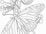 Free Printable Coloring Pages Of Flowers and butterflies butterfly Coloring Pages