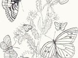 Free Printable Coloring Pages Of Flowers and butterflies Free Printable butterfly Coloring Pages for Kids