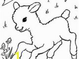 Free Printable Easter Lamb Coloring Pages 137 Best Coloring Easter & Halloween Images