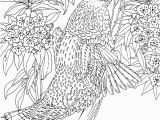 Free Printable Hard Coloring Pages for Adults Get This Difficult Adult Coloring Pages to Print Out