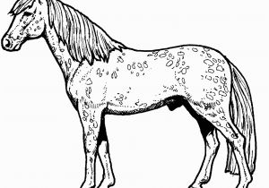 Free Printable Horse Coloring Pages for Adults Advanced Beautiful Free Printable Horse Coloring Pages