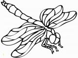 Free Printable Insect Coloring Pages Dragonfly