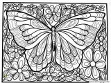 Free Printable Insect Coloring Pages Print Adult Difficult Big butterfly Coloring Pages