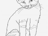 Free Printable Kitty Cat Coloring Pages Free Cat Coloring Pages Beautiful Kitten Color Pages Elegant Kitty