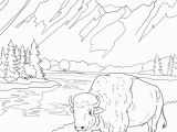 Free Printable National Parks Coloring Pages Grand Teton National Park Coloring Page