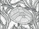 Free Printable Ocean Coloring Pages for Adults Ocean Adult Coloring Pages at Getdrawings