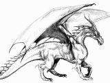 Free Printable Realistic Dragon Coloring Pages Realistic Dragon Coloring Pages for Adults Coloring Home