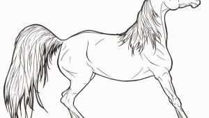 Free Printable Realistic Horse Coloring Pages Realistic Horse Coloring Pages to Print Coloring Home