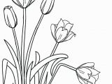 Free Printable Tulip Coloring Pages Free Printable Tulip Coloring Sheets Tulip Coloring Pages Template