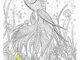 Free Sue Coccia Coloring Pages 338 Best Birds Coloring Page Images In 2020