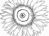 Free Sunflower Coloring Pages for Adults Sunflower Coloring Page for Kindergarten