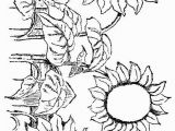 Free Sunflower Coloring Pages for Adults Sunflowers