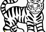 Free Tiger Coloring Pages Nice Tiger Pictures to Colouring Pages