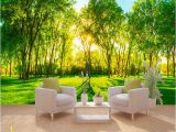 Full Wall Photo Murals Details About Strong Sunshine 3d Full Wall Mural