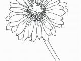 Gerbera Daisy Coloring Page Daisy Coloring Pages at Getdrawings