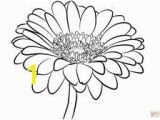 Gerbera Daisy Coloring Page Gerber Daisy Coloring Pages at Getdrawings