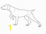 German Shorthaired Pointer Coloring Page 10 Best Search Images