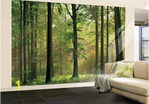 Giant Wall Mural Posters Amazon 100×144 Autumn forest Huge Wall Mural Art Home & Kitchen