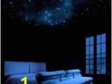 Glow In the Dark Ceiling Murals 38 Best Stars On Ceiling Images