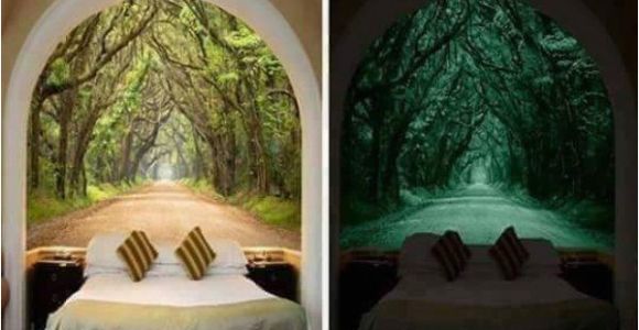 Glow In the Dark Wall Mural Window I Want Thaaaat 40 S