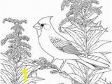 Goldenrod Coloring Page 102 Best Adult Coloring Pages Images On Pinterest In 2018