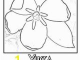 Goldenrod Coloring Page 251 Best Usa Coloring Pages Images