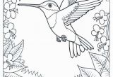 Goods and Services Coloring Pages Humming Bird Coloring Page