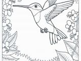 Goods and Services Coloring Pages Humming Bird Coloring Page