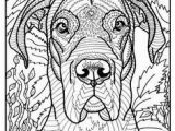 Great Dane Coloring Pages 1460 Best Coloring Pages and Such Images
