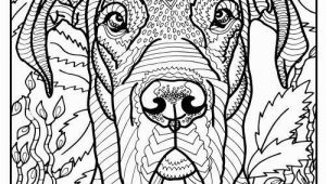 Great Dane Coloring Pages Free Printable Great Dane Coloring Page Available for