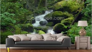Green forest Wall Mural Mossy Waterfall In 2019