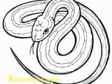 Hammy Coloring Pages Rattlesnake Coloring Page Elegant Red Tail Boa Coloring Coloring