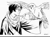 Harry Potter Coloring Pages Quidditch Free Harry Potter Coloring Pages 13 6638 and Page Csad
