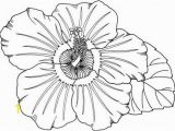 Hawaiian Flower Coloring Pages Coloring Pages Hawaiian Flowers Fresh Hawaii Coloring Pages New S S