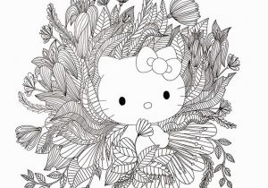 Hello Kitty and Keroppi Coloring Pages Hello Kitty & Friends Coloring Book Volume 1 Amazon