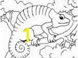 Hermit Crab Coloring Page Eric Carle 1000 Images About Eric Carle On Pinterest