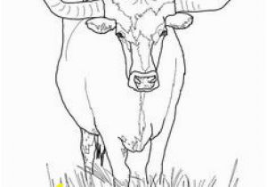 Highland Cow Coloring Page 111 Best Bull Coloring Pages Images
