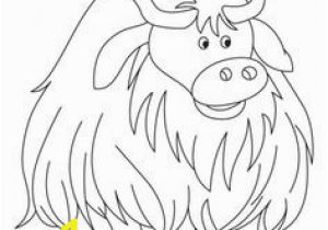 Highland Cow Coloring Page 81 Best Domestic Animals Coloring Pages Images