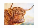 Highland Cow Wall Mural Scottish Highland Cow Print Picture