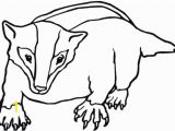 Honey Badger Coloring Page American Badger Coloring Page