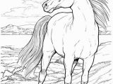 Horse Coloring Pages Hard Fly Coloring Page Page 3 Of 156 Free Printable Coloring Pages