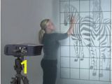 How to Paint A Wall Mural without A Projector 25 Best Art Projectors Images