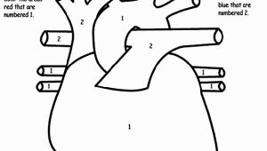 Human Heart Coloring Pages Printable Human Heart Coloring Page Awesome Tells Kids What Part to Color