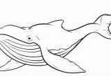 Humpback Whale Coloring Page ÑÐ¸ÑÑÐ½Ð¾Ðº 25 ÑÑÑ Ð¸Ð·Ð¾Ð±ÑÐ°Ð¶ÐµÐ½Ð¸Ð¹ Ð½Ð°Ð¹Ð´ÐµÐ½Ð¾ Ð² Ð¯Ð½Ð´ÐµÐºÑ ÐÐ°ÑÑÐ¸Ð½ÐºÐ°Ñ