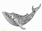 Humpback Whale Coloring Page Pin On Coloring Pages